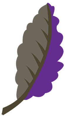 Chasing Leaves logo 