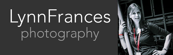 Lynn Frances photography logo.